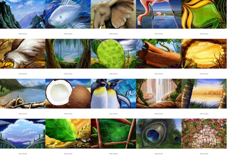 [PSD(포토샵원본)]Digital Juice Drops 36 naturalCUTS (36203639) 토렌트