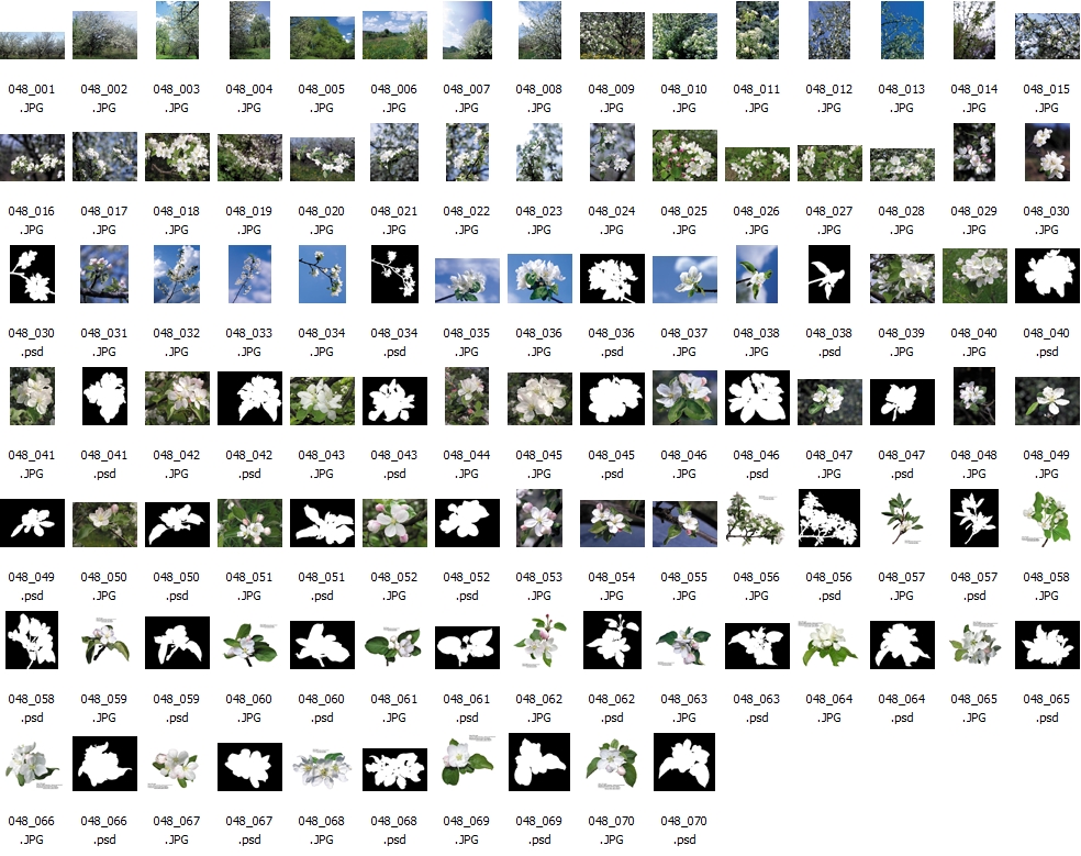 [디자인소스] PS 자료 Digital Juice Drops 59,무료다운 및 실시간 감상! 파일캐스트