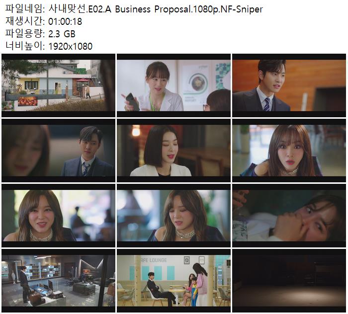 E A Business Proposal P Nf Sniper