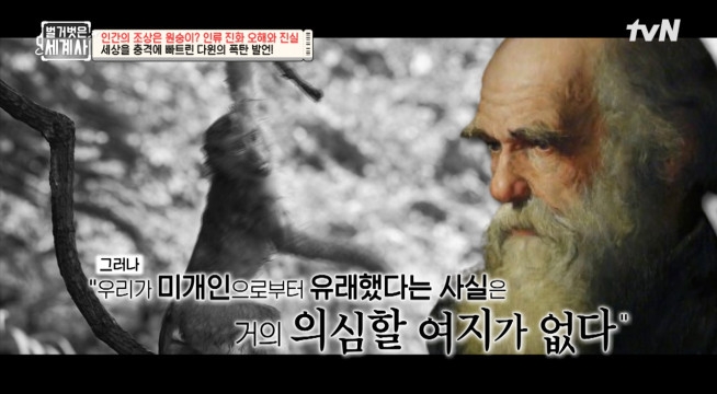 인간은 하등 동물에서 유래됐다? 세상을 충격에 빠트린 다윈의 발언