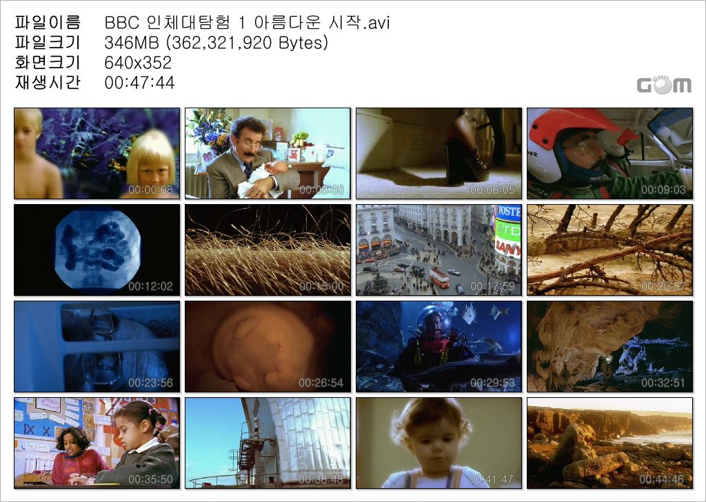 c1ebf1991e3794de1de696792ce6a13f.jpg
