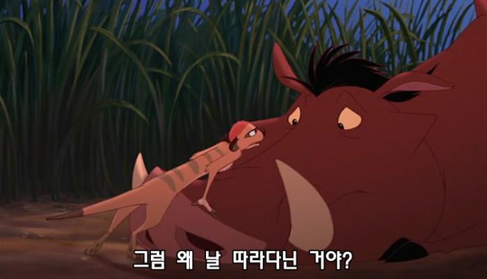 [라이온 킹 -티몬과품바] 디즈니.우리말더빙or영어음성한글자막.2004年