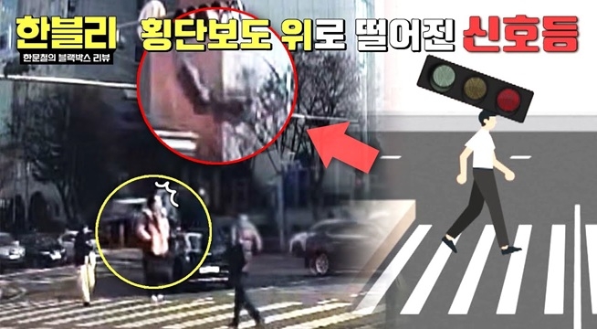 보행자가 건너던 도중... 갑자기 횡단보도를 덮친 신호등?!