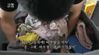 미리보기 이미지