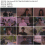 Call.It.Love.S01E15.720p.DSNP.WEB.6CH.H264-NVZ