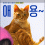 [좀비딸] O9월 [평점 8.5 ] 진짜로 Qㅑ옹이가 ㄷH박. 장난아님 - 못받으면 손해
