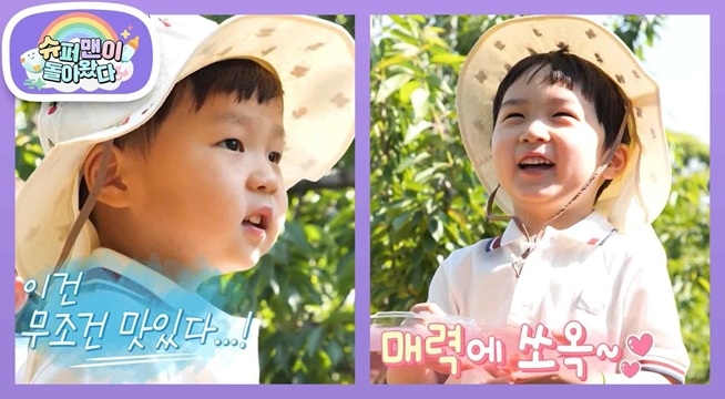 1타 3체리 프로 일꾼 은우♥애교로 해결하는 베짱이 정우 in 체리농장