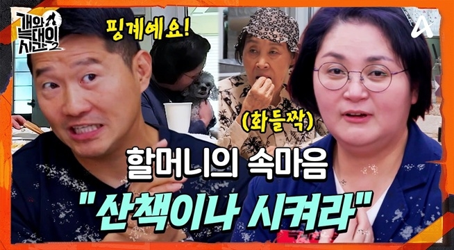 가족 구성원이 5명인데 산책을 안 한다?! (예뻐하는 건 언제든)