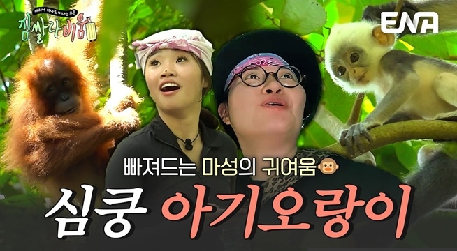＂안녕 반가워~＂ 넋 놓고 보게 되는 야생 아기 오랑이 뽀시래기 모먼트