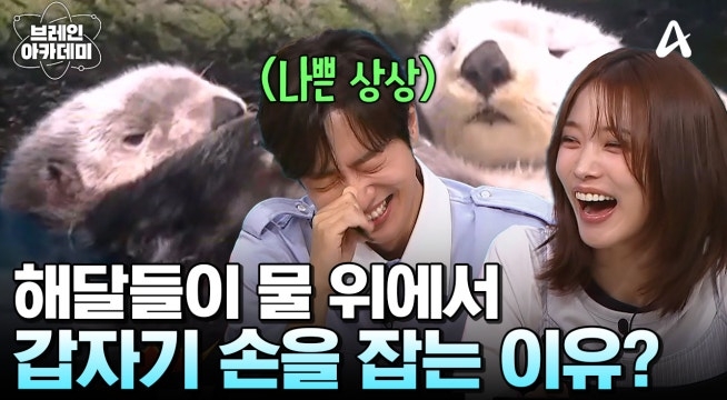 해달이 물 위에서 가족이나 친구와 손을 잡는 이유는?!