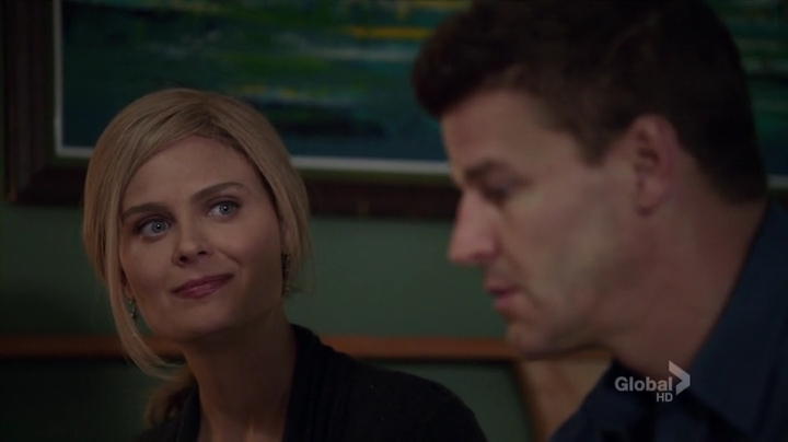 Bones.S08E01.HDTV.x264-LOL.mp4_000913829.jpg