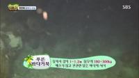 미리보기 이미지