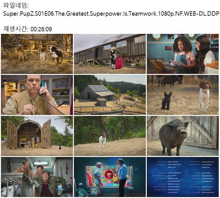 Super.PupZ.S01E06.The.Greatest.Superpower.Is.Teamwork.1080p.NF.WEBDL