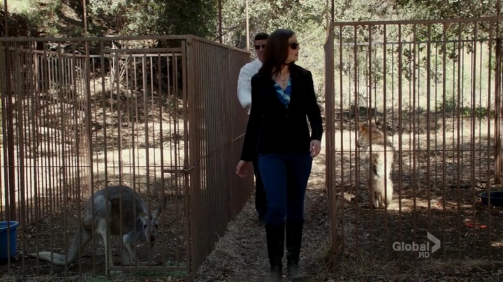 Bones.S08E04.HDTV.x264-LOL.mp4_001984899.jpg
