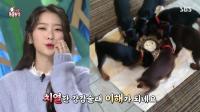 미리보기 이미지