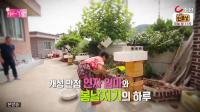 미리보기 이미지