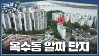 옥수동에 이런 아파트가 숨어있었다고...? 대단지 숲 근처 '한 동' 아파트