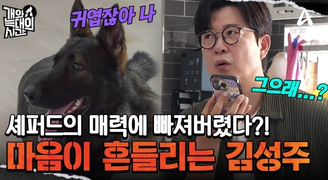 예민한 늑대 3호 때문에 테라스에 갇힌 셰퍼드! 김성주가 흔들리기 시작했다?