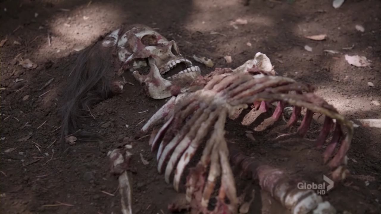 Bones.S08E01.720p.HDTV.X264-DIMENSION.mkv_000412954.jpg