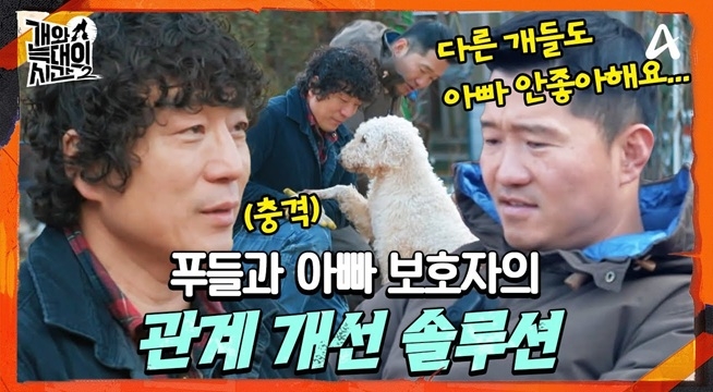 견사에서 왕따, 가장 소외 받았지만 사실 아빠를 가장 사랑하는 푸들?!