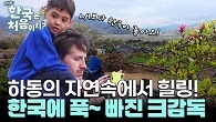 'LA보다 한국이 좋은데요??' 하동의 자연 속에서 힐링 제대로 하는 크감독과 가족들