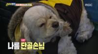 미리보기 이미지
