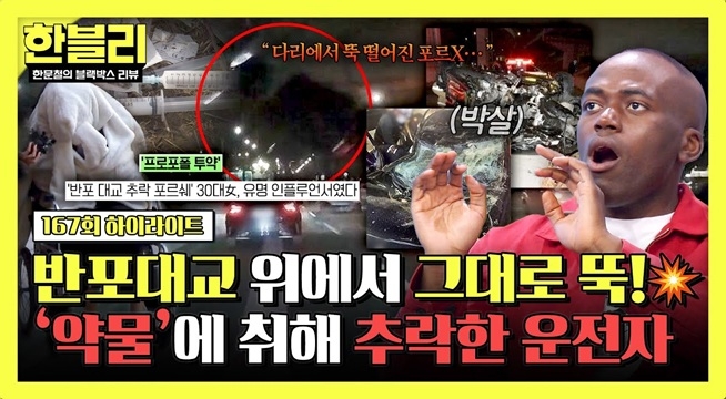 (경악) 반포대교 위에서 ‘뚝’ 차량 추락 사고… 가해자는 약물에 취한 유명 인플루언서?