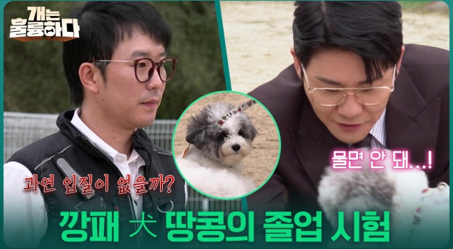 깡패 犬 땅콩의 졸업 시험 ＂땅콩이 화이팅!＂