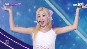 미리보기 이미지