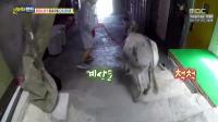 미리보기 이미지