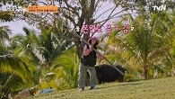 본인보다 몇 배 큰 장대 들고~ 읏쇼읏쇼 코코넛 따는 집념의 혜윤!