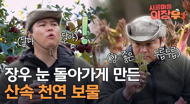 꾸지뽕부터 땅두릅까지! 제철 맞은 산속 보물 대공개