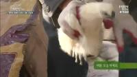 미리보기 이미지