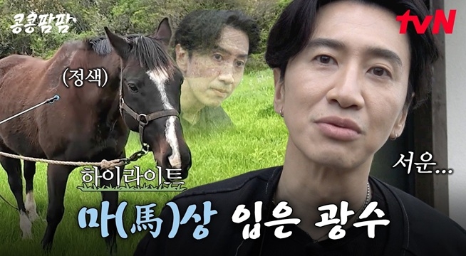 말에게 무시 받고(?) 아침부터 물세례를 맞는 이광수 대표의 말 목장 적응기