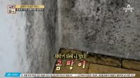 미리보기 이미지