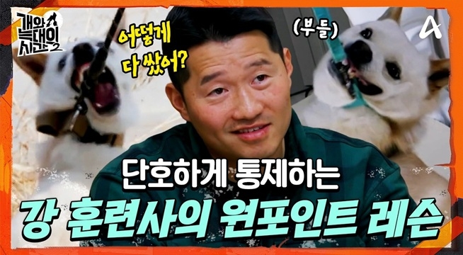 '도디' 견생 역대급 감정 배출 시작. 와중에 강형욱 솔루션 美쳤다...!
