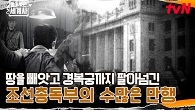 땅을 빼앗고 경복궁까지 팔아넘긴 조선총독부의 수많은 만행