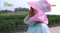 미리보기 이미지
