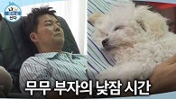 무버지 품에서 얌전히 잠을 청하는 순무... 아침부터 고된 육견에 뻗어버린 전현무